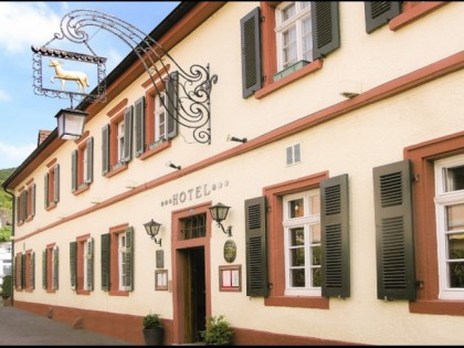 Foto: Lammchen